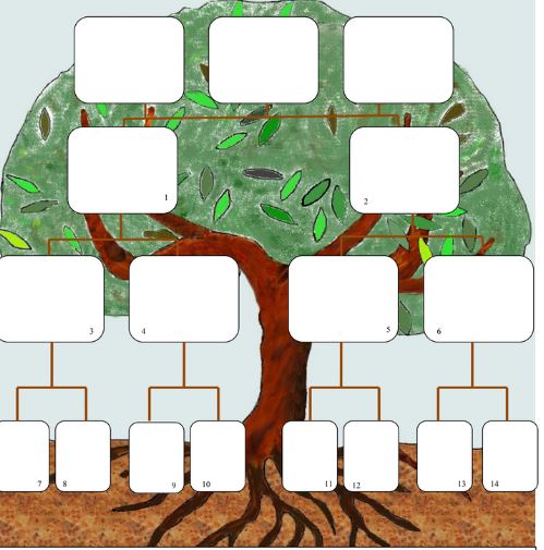 CaptureArbre G&eacute;n&eacute;alogique